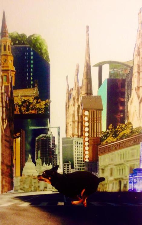 10294348_10152718129269755_288150131617419889_n