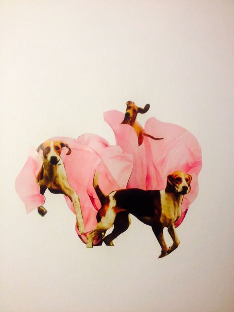 10882148_10152671901469755_1351467635540886262_n