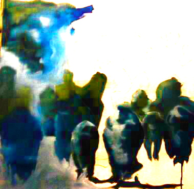 IMG_20131008_224259-1_2