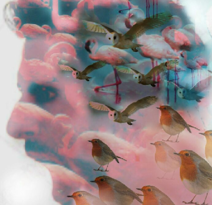 Screenshot_20170511-160410